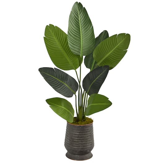 4ft. Travelers Palm Tree in Metal Planter